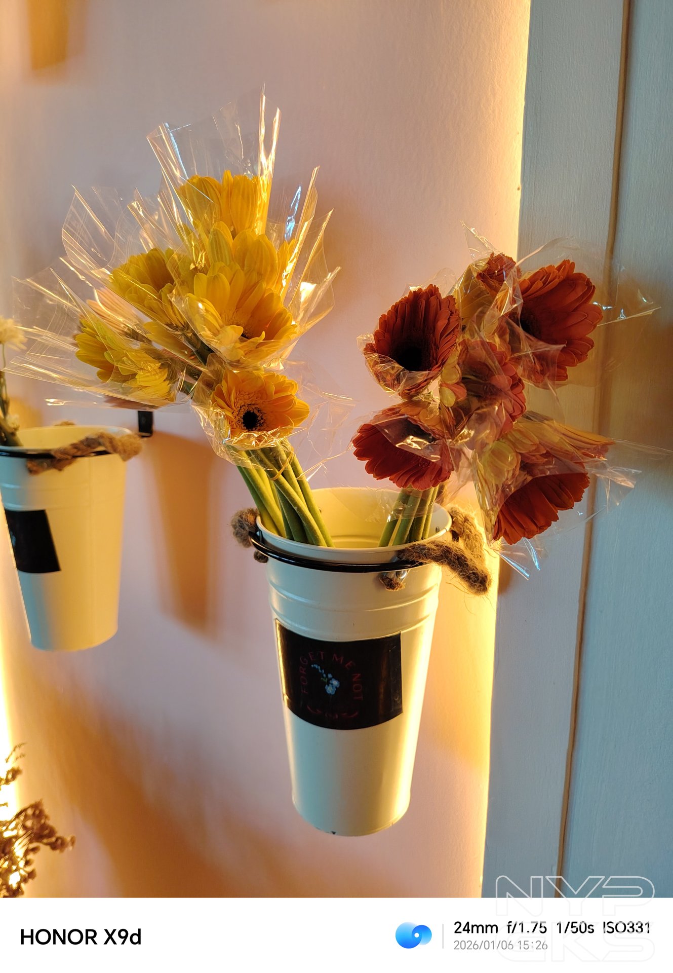 HONOR-X9d-Low-Light-5243