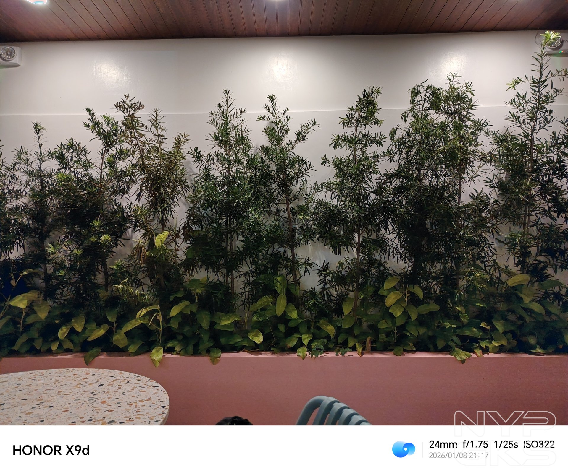 HONOR-X9d-Low-Light-5245