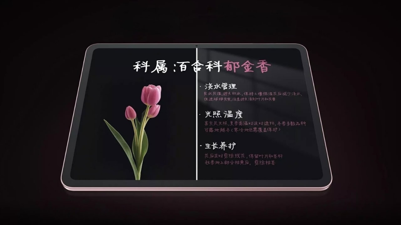 OPPO-Pad-Air5-Specs-Features
