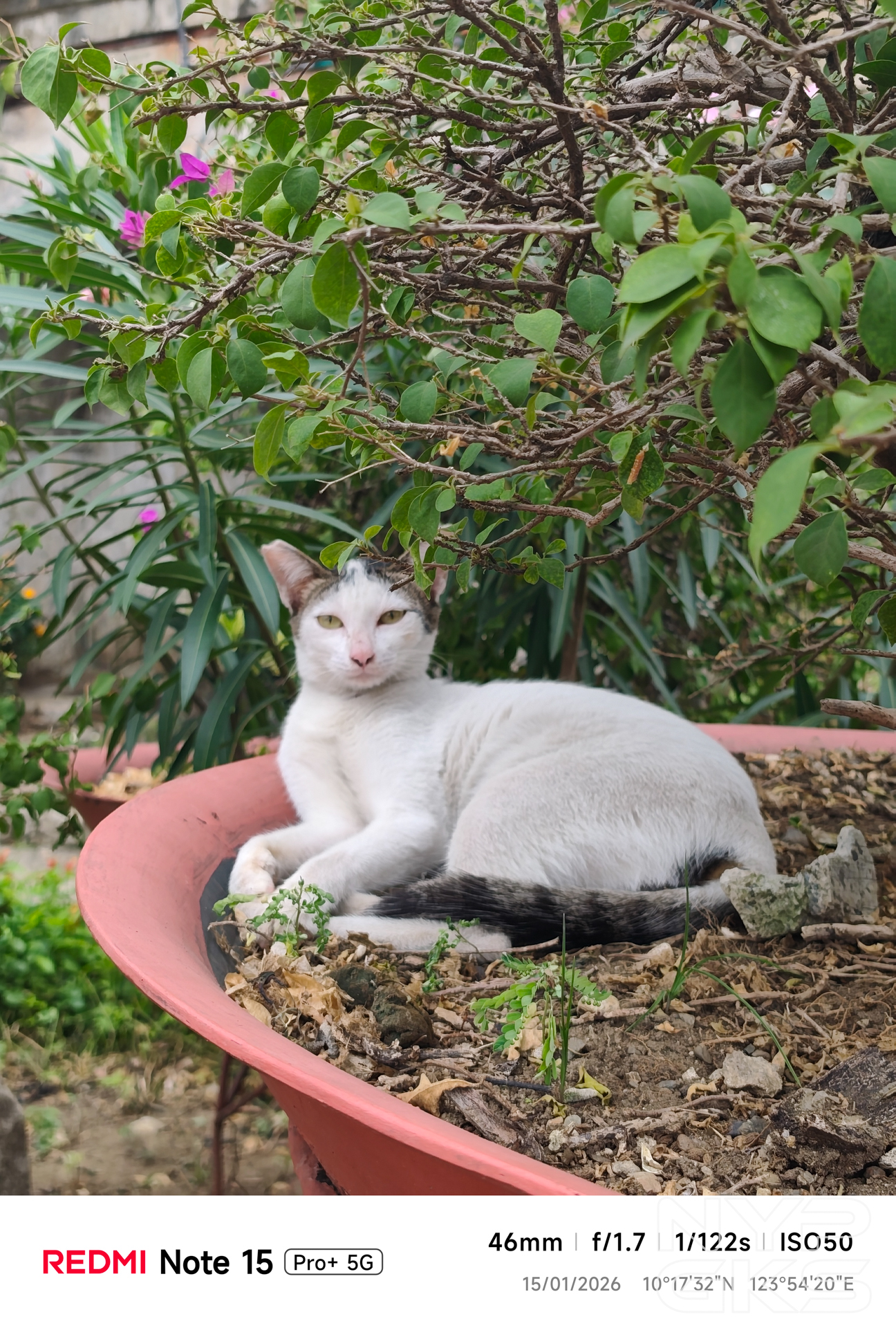 Redmi-Note-15-Pro-Plus-2x-Telephoto-5246