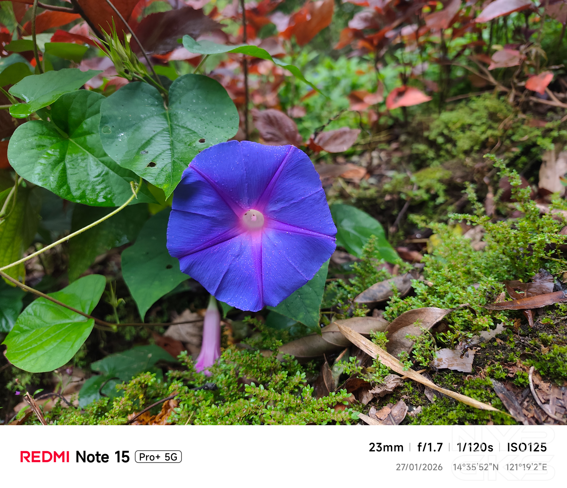 Redmi-Note-15-Pro-Plus-Camera-Samples-5253