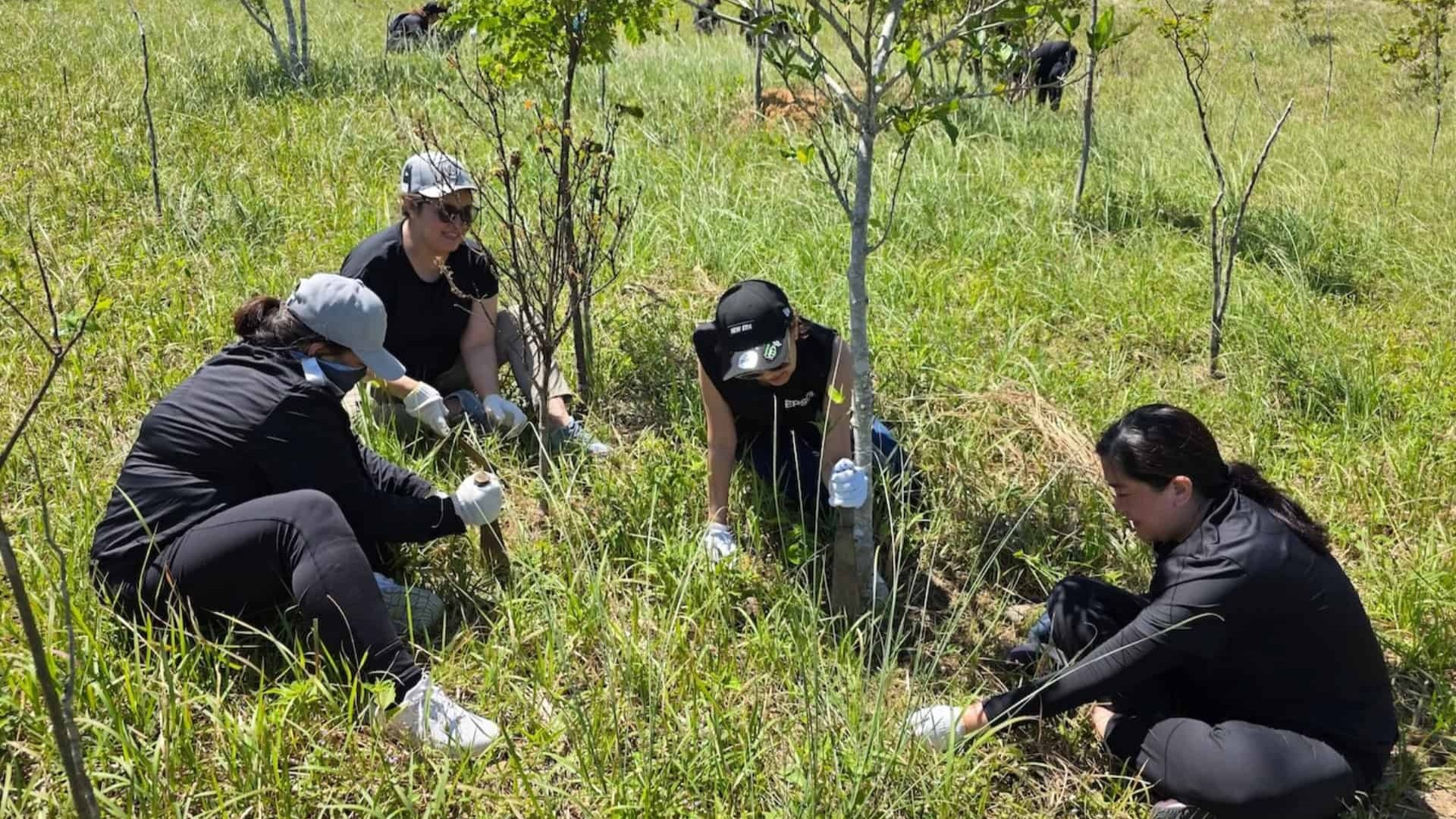 Epson-Philippines-Masungi-Tree-Caring-5991