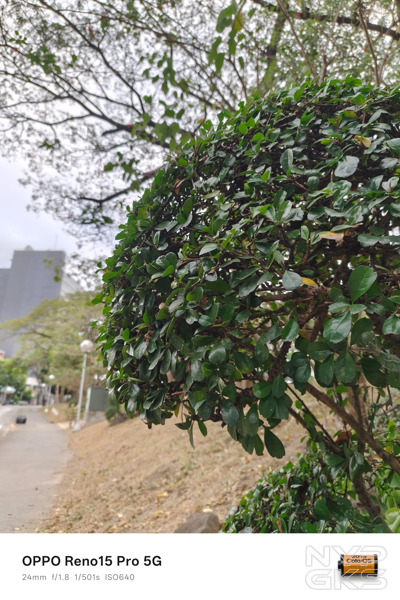 OPPO-Reno15-Pro-Camera-Review-5961