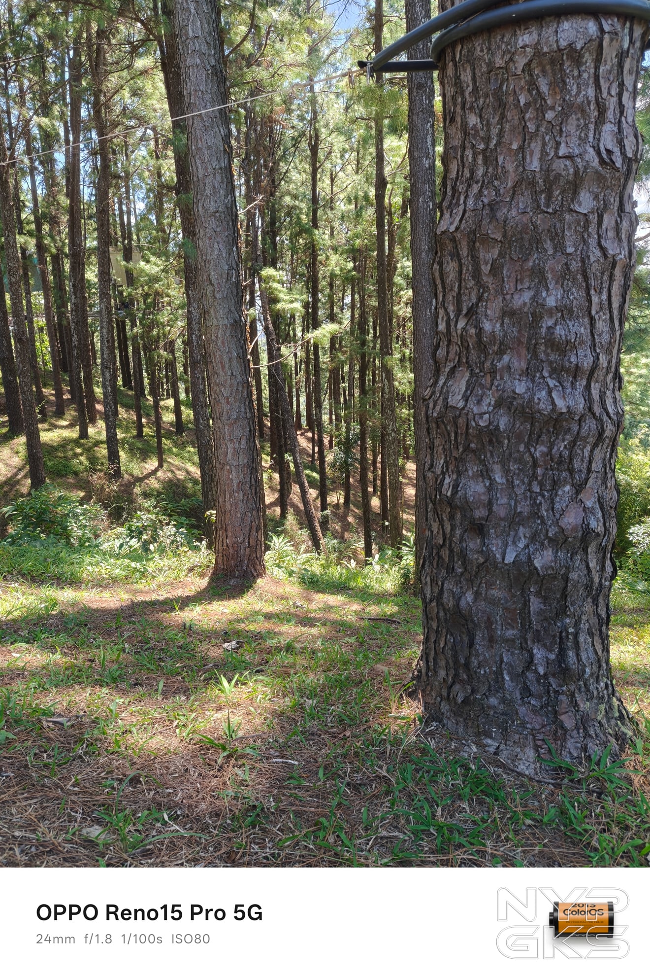 OPPO-Reno15-Pro-Camera-Review-5969