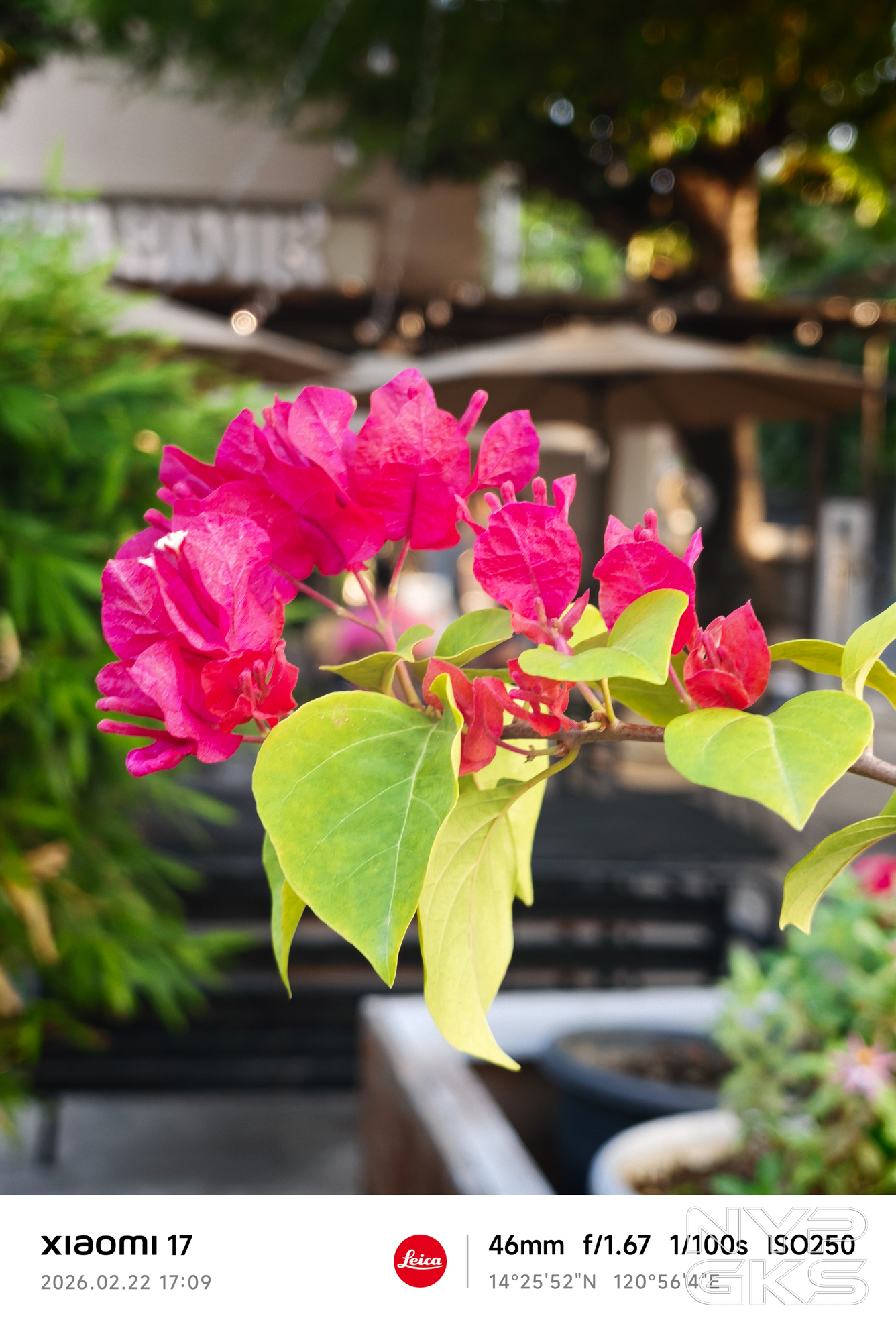 Xiaomi-17-2x-zoom-5961