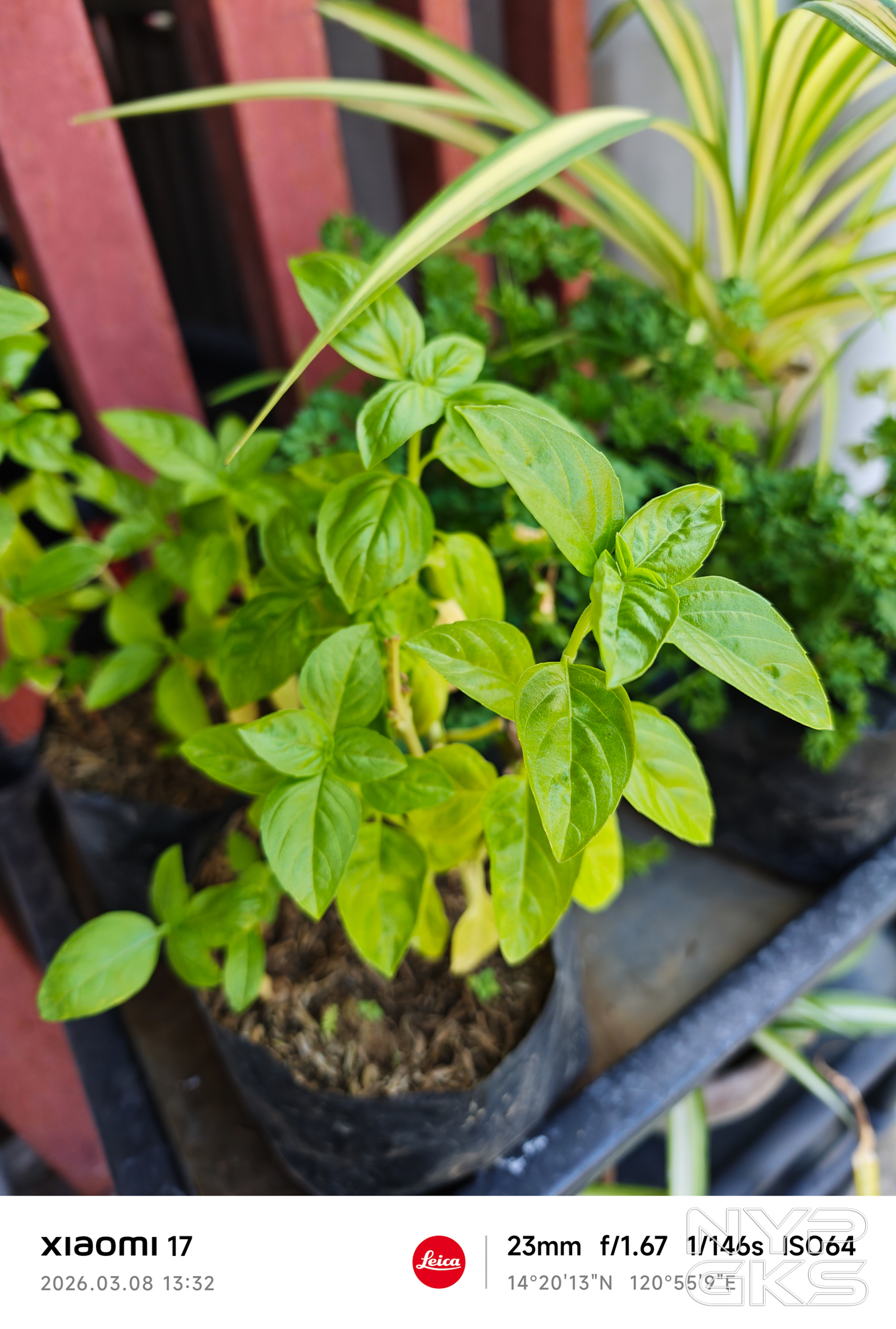 Xiaomi-17-Camera-Samples-5771