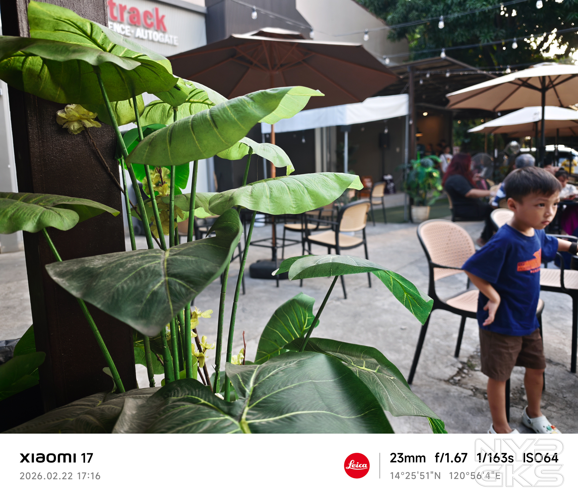 Xiaomi-17-Camera-Samples-5961