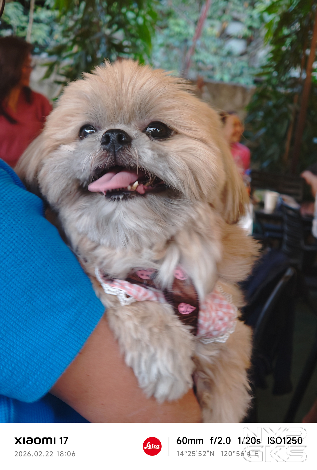 Xiaomi-17-Telephoto-5765