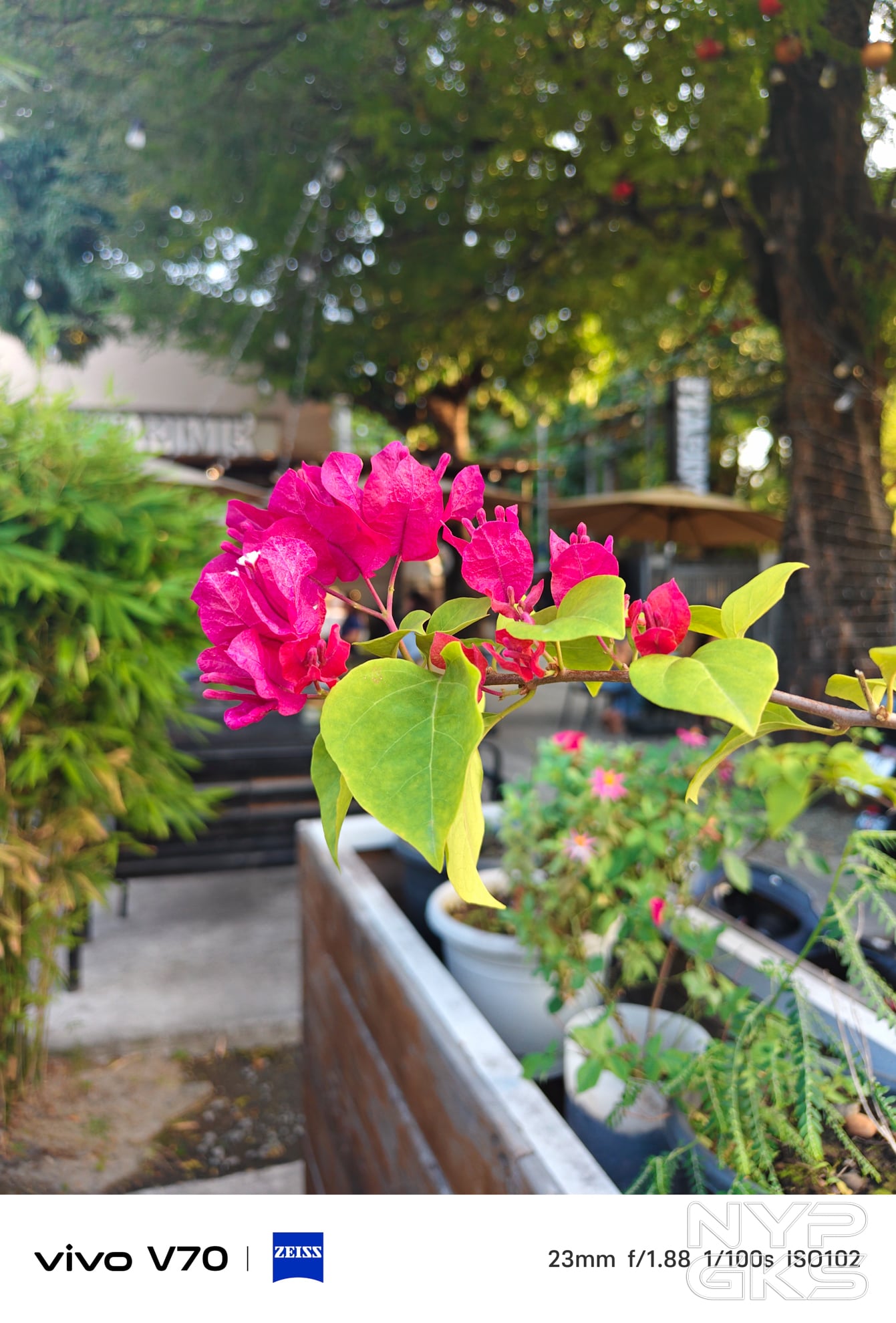vivo-V70-Camera-Samples-5861