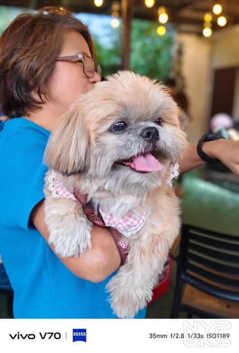 vivo-V70-Features-NoypiGeeks (9)