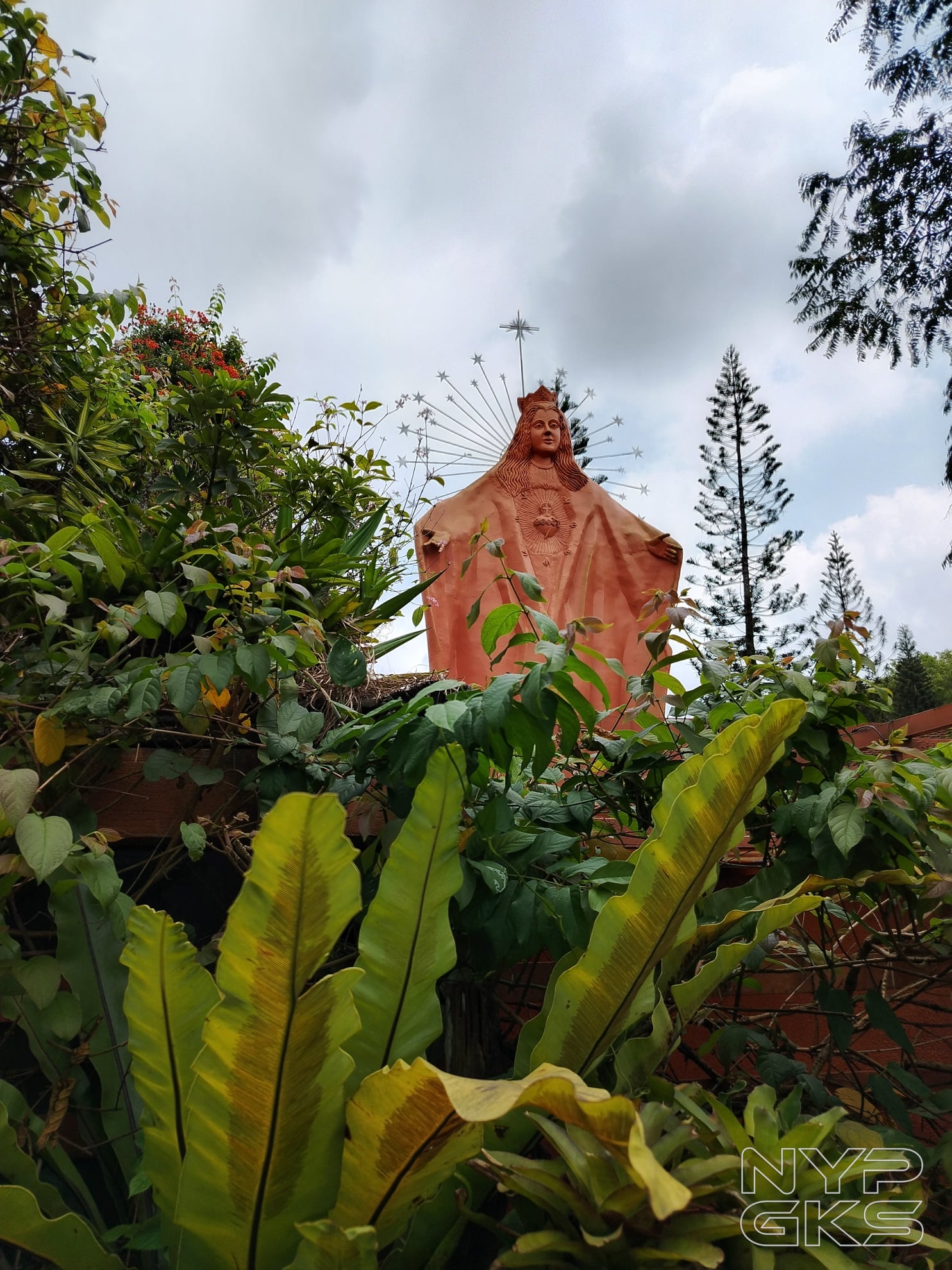 HONOR-X8d-Camera-Samples-5864
