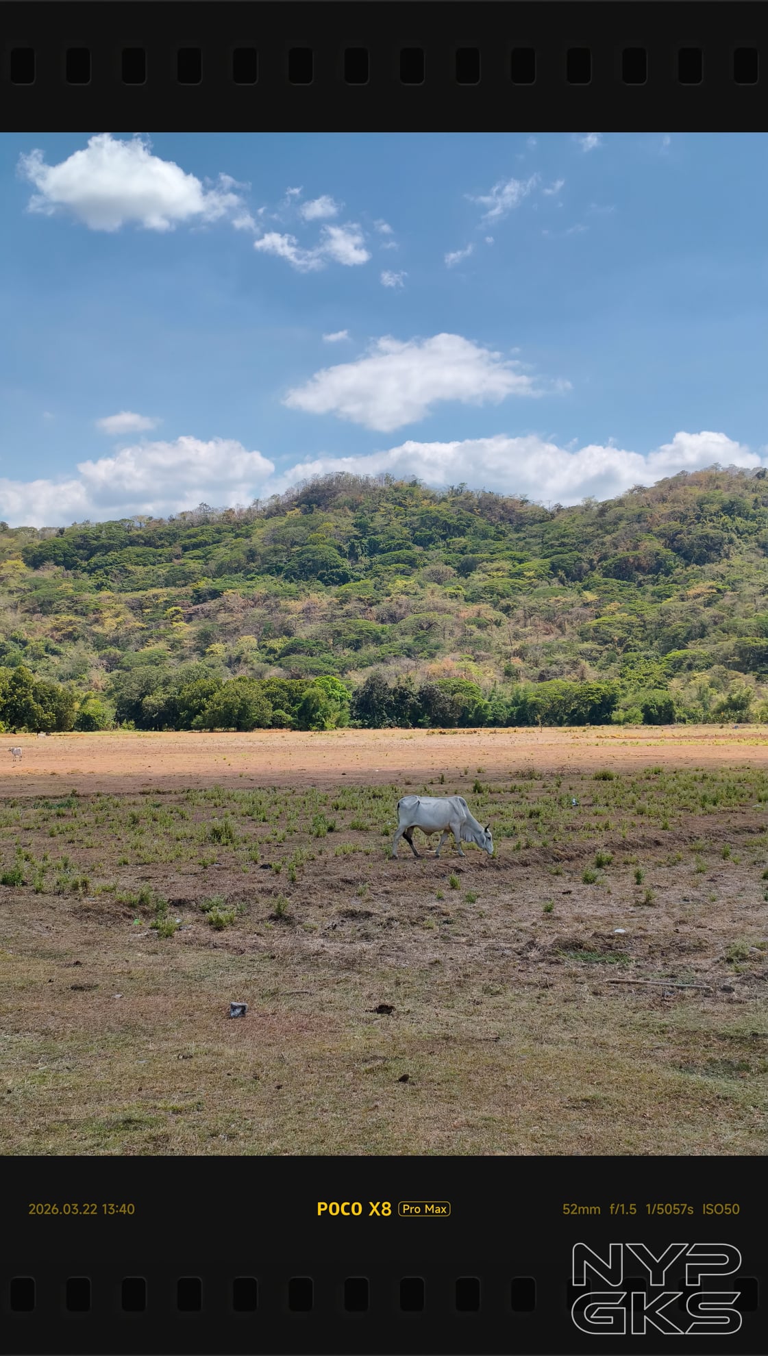 POCO-X8-Pro-Max-2x-Portrait-5861