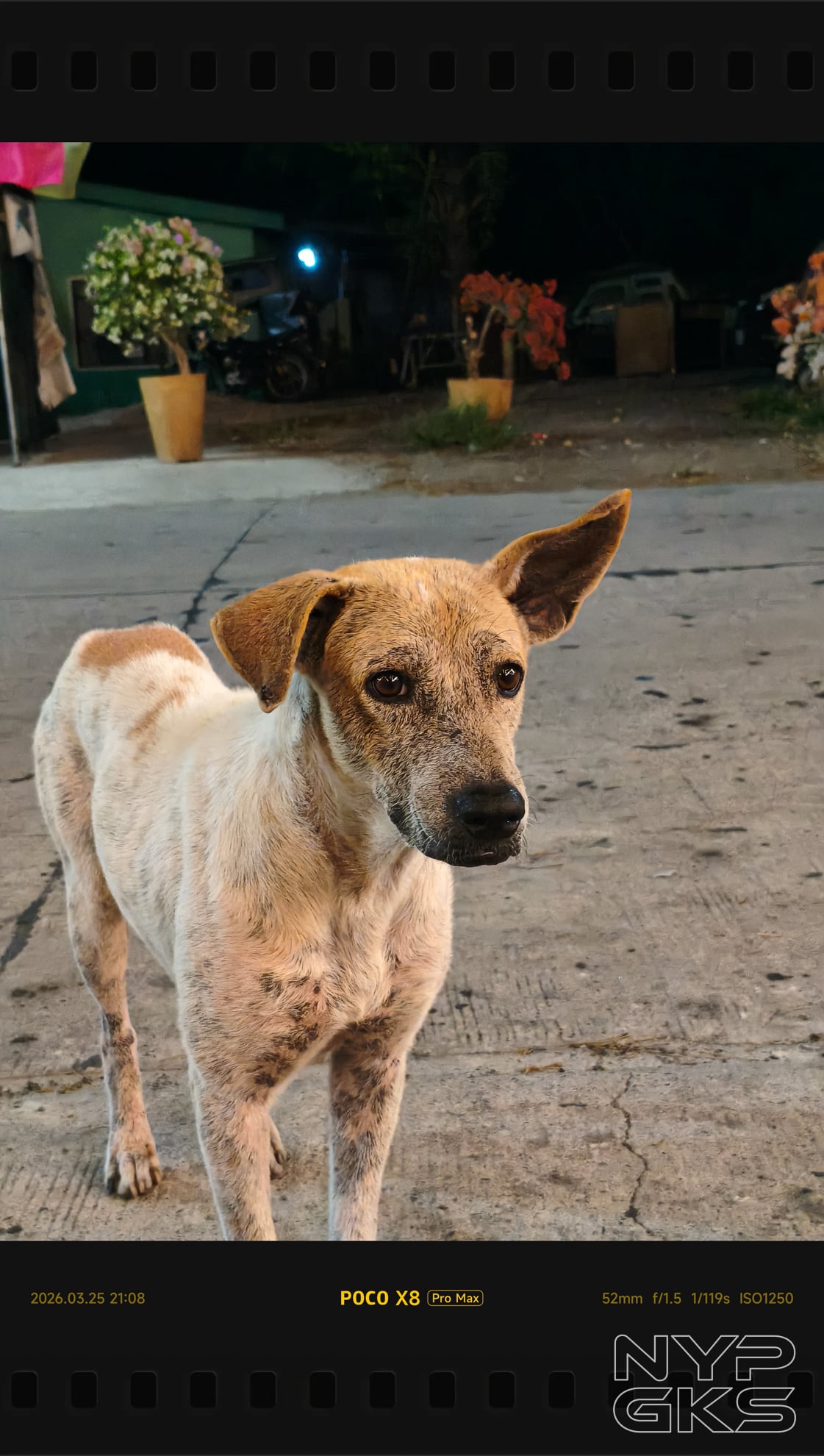 POCO-X8-Pro-Max-Night-Mode-Low-Light-5863