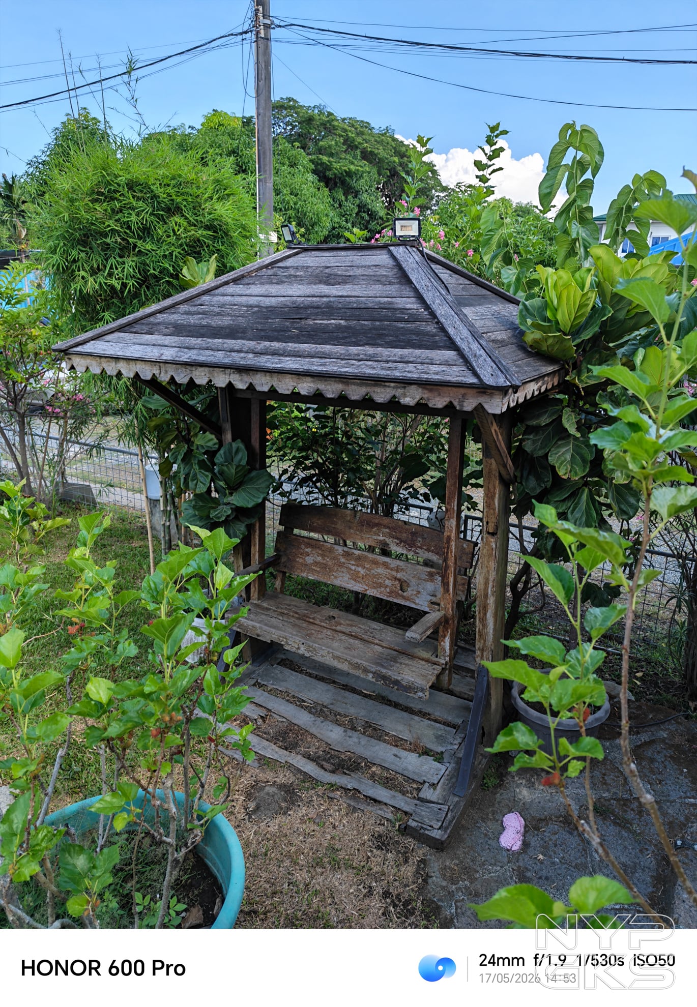 HONOR-600-Pro-Camera-Samples-5865
