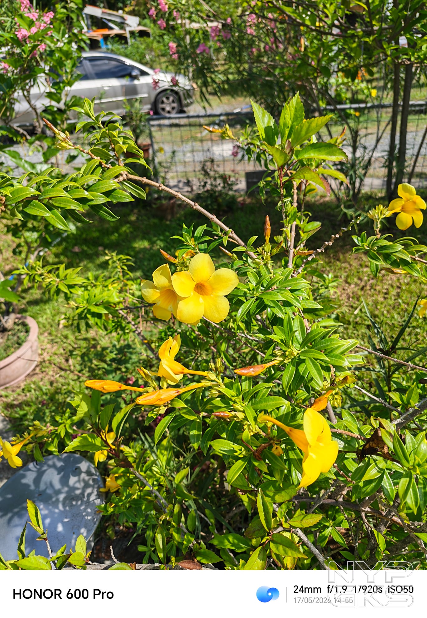 HONOR-600-Pro-Camera-Samples-5868