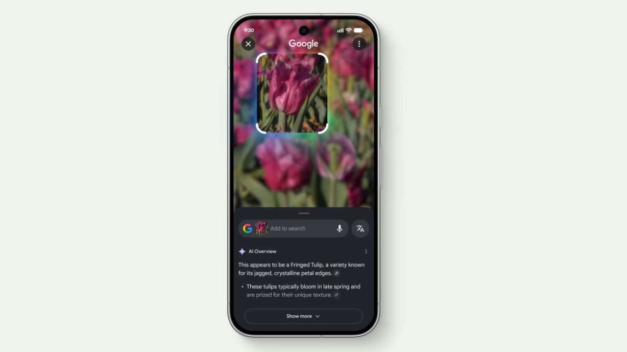 Pixel-11-Pro-Specs-Features