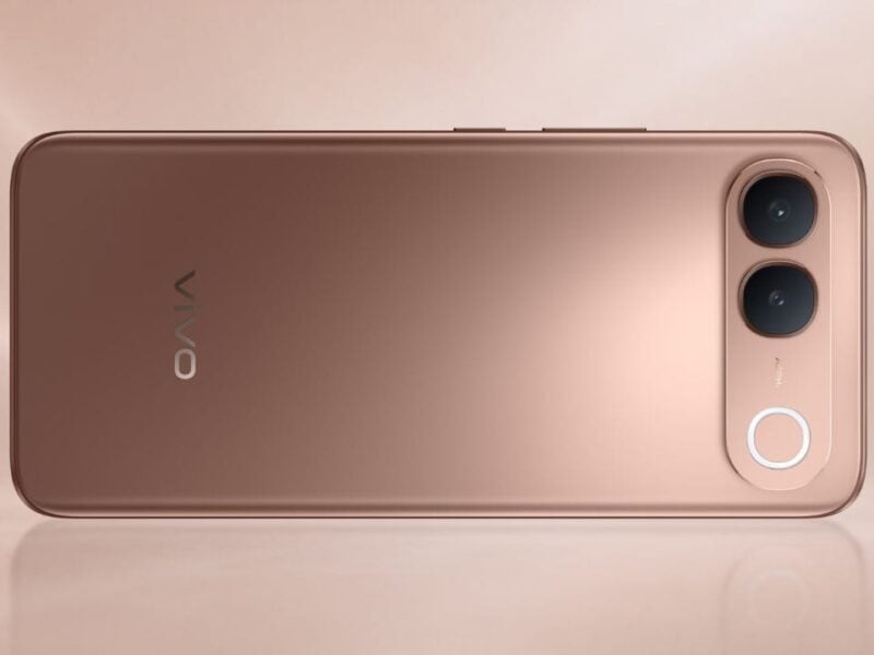 vivo-S2