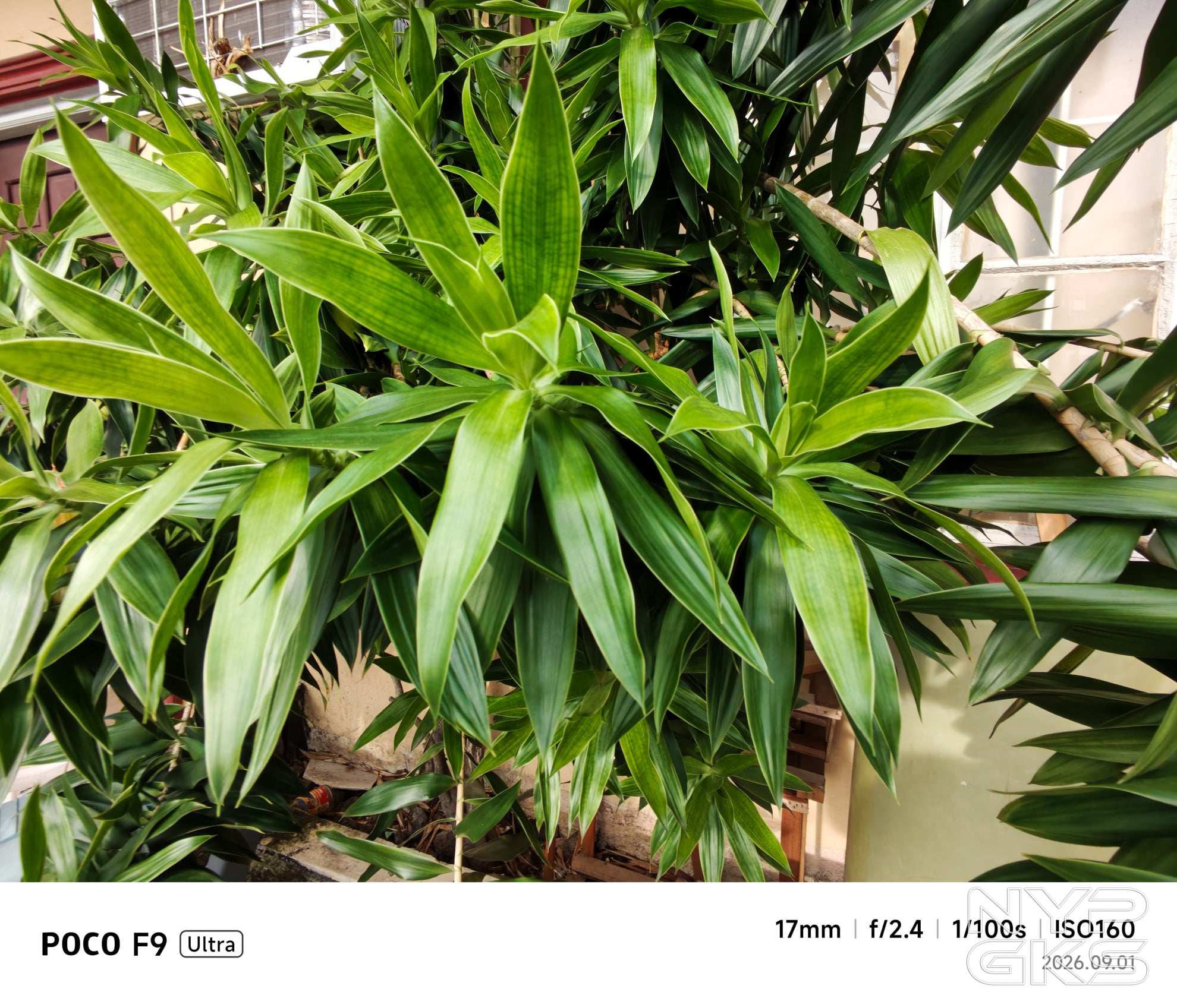 POCO-F9-Ultra-Ultra-Wide-5867